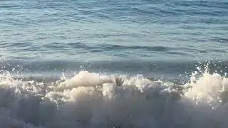 to observe one's own breath