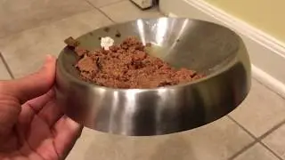 Review: Dr. Catsby's Whisker Relief Cat Food Bowl - The BEST whisker-friendly cat bowl on the market