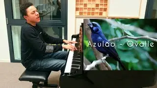 My First Recording As A Tenor/Baritone: Azul&atilde;o (Ovalle) By Roy van Vugt (15 Years Old)