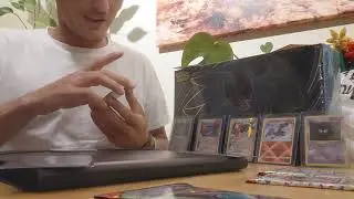 Japanese White Flare Opening