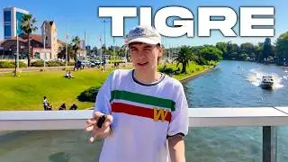 El LORE de TIGRE