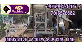 Innovative Cashew Scooping Line for Small & Medium Scale Cashew Processing Plant with Recycle System