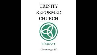 Homily - Understanding The Scriptures