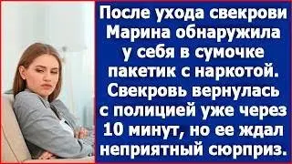 После ухода свекрови Марина обнаружила у себя в сумочке пакетик с белым порошком.