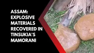 Assam: Explosive materials recovered in Tinsukia's Mamorani, area cordoned off
