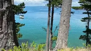 Kawau Island | Trails, Forest, and Coast