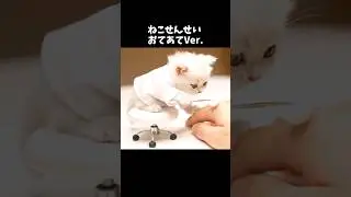 【ASMR】ねこせんせい お手当てVer.  Getting medical treatment from a cat.