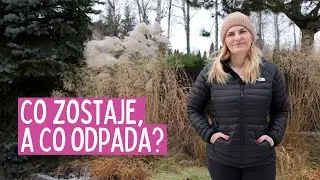 Podsumowanie roku w ogrodzie 2025 - Leniwa niedziela