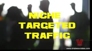 Niche Targeted Website Traffic
