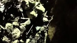 Hobble creek mineshaft