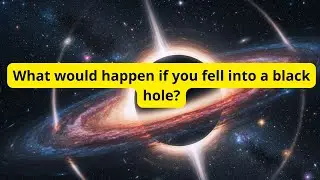 What would happen if you fell into a black hole