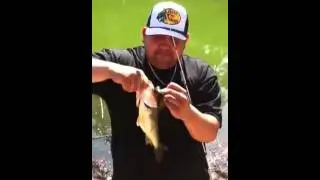 Minda lures craw dads