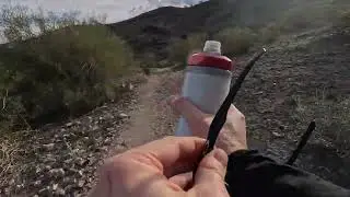 Estrella Regional Park | Quail-Rainbow-Baseline Loop