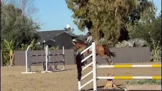 Leo January Jump School