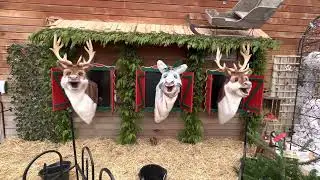 Singing Reindeer (Wilmslow Garden Centre) - We Wish You a Merry Christmas
