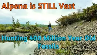Alpena is STILL Vast - Hunting 400 Million Year Old Fossils