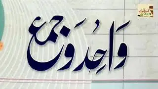 WAHID O JAMAA // LESSON 11 (واحد و جمع ) #مفردات #معانی #جمع #arabic #alfaz #words #meaning