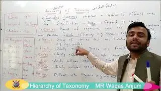 Hierarchy of Taxonomy - Biology | Lecture 3 | Class 9th
