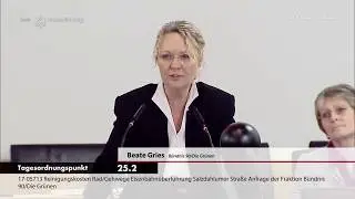 Anfrage Beate Gries - Gr&uuml;ne:  Reinigungkosten Taubenkot Salzdahlumer Str.
