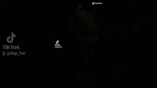 я, моя любимая, мои детки