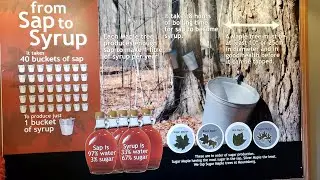 HOW MAPLE SYRUP WAS MADE AND FROM! (MAPLE SYRUP FESTIVAL)