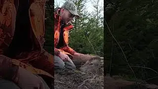 Dr&uuml;ckjagd Hirsche - neues Video auf meinem Kanal #jagd #rotwild #hirsch
