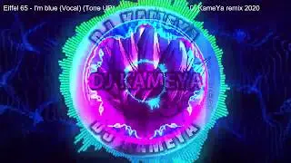 Eiffel 65 - Blue (Da Ba Dee) (Vocal) (Tone Up)  Dj KameYa remix 2020