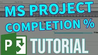 MS Project - How to set completion percentage