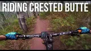 Riding Lupine Trail - Dusty Betty Women's Mountain Biking