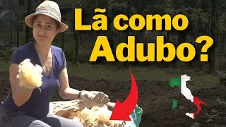 Trabalhando na HORTA no VOLUNTARIADO | Como plantamos abóbora.