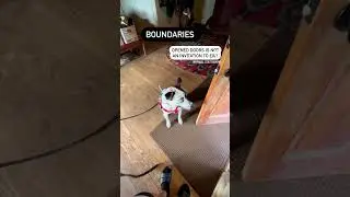 Boundaries