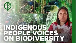 IP Community Perspectives on Biodiversity Conservation Efforts