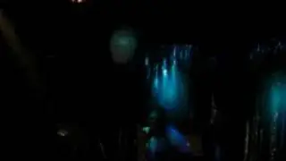 NOTCH - VERME