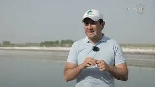 Global Textile va &ldquo;O&lsquo;zbekiston&rdquo; telekanali | Innovatsion texnologiyalar