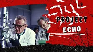 Project Echo (true scary stories) | r/scary stories