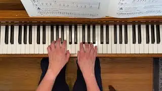 Учебник для начинающих &laquo;Родео &mdash; приключения на фортепиано&raquo;