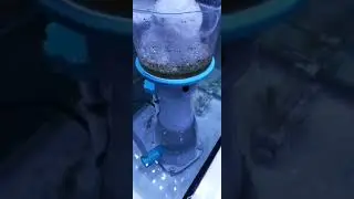 Ocean tech Octo120 protein skimmer with DC1500L pinwheel pump