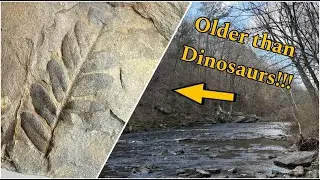 Discovering ANCIENT Plant Fossils in Alabama's Coal Swamps!