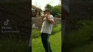 Funny moment with a Swarm