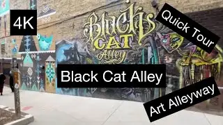 Black Cat Alley | Art Alleyway | Milwaukee | Wisconsin #milwaukee #wisconsin #usa