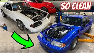 Coyote Swap Fox Has Changed A Lot... Introducing Blue Coyote Fox Coupe