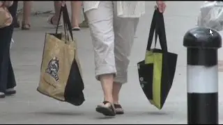 Reusable Grocery Bags and Bins