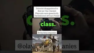 Egyptians find out old Egyptians were black
