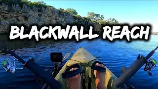 Blackwall Tailor Fishing Swan River Smokin Catch And Cook