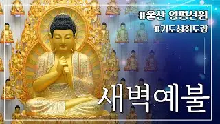 고요한 새벽, 마음이 깨어나는 시간... 영평선원 새벽기도 2026.01.16.