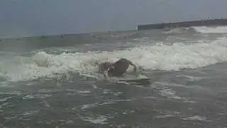 Kes&auml;n 2008 Surffit