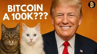 🟢 Despierta BITCOIN! Podemos ir a 100k??? #593
