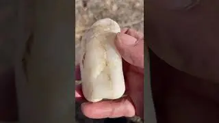 White quartz #rockcollecting #rockhounding #quartz #rockcollecting #nmtrue #Minerals#gemstones