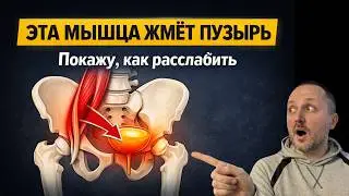Всё дело в одной мышце! Почему вы часто бегаете в туалет? Хватит лечить почки