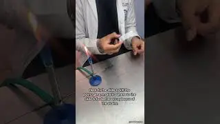 Gram staining. 🧫👩&zwj;🔬#iiver #gramstaining #microbiology #students #explore #veterinarian